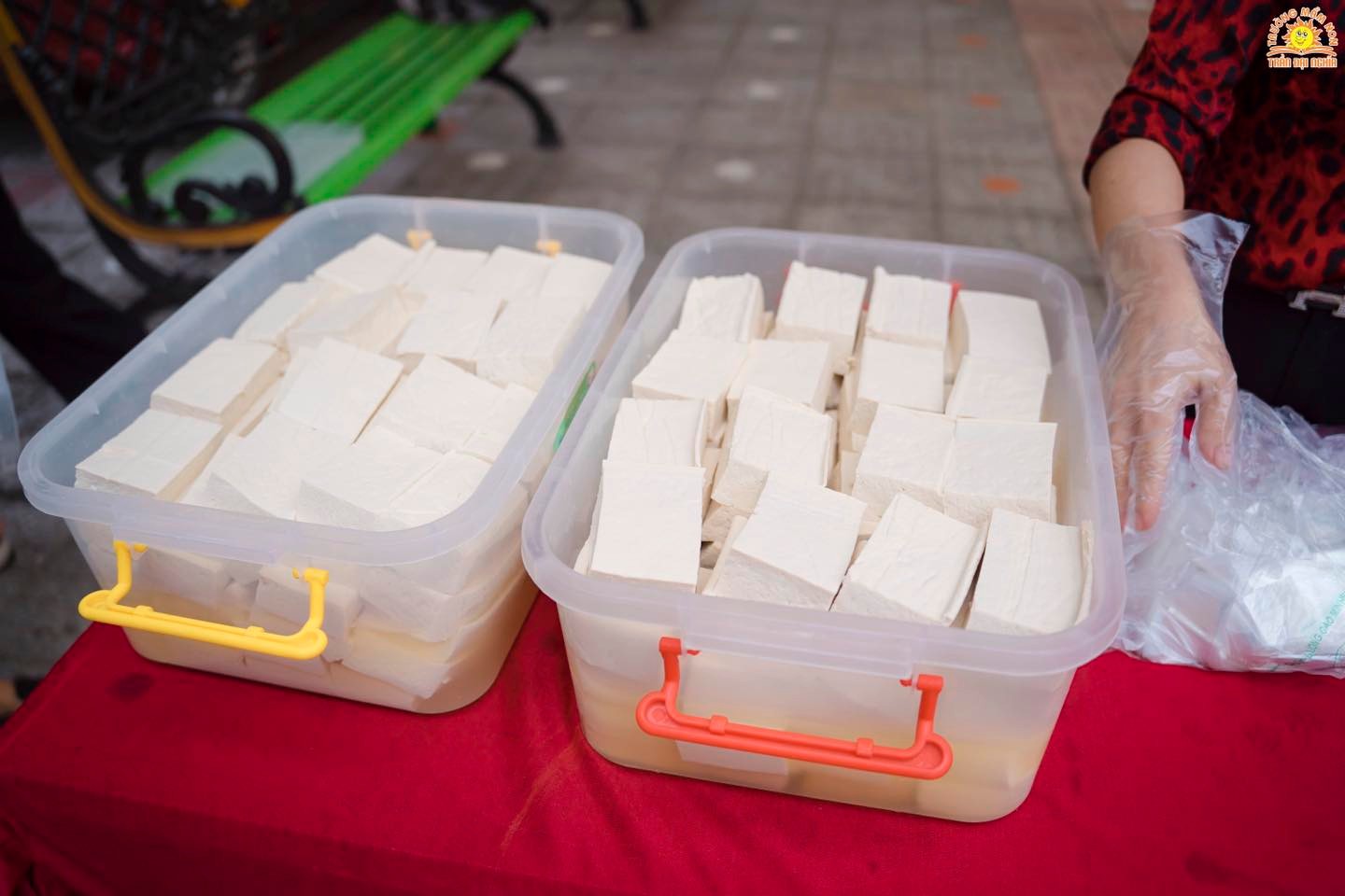 380594839_739316071542438_8602671808032583428_n