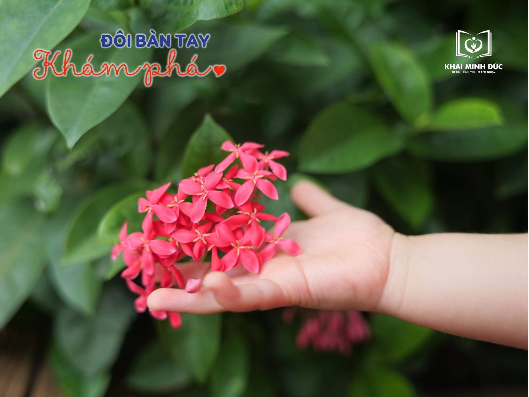 z4749991914704_e2d5d2705e2f9116804c4a67aee860e0