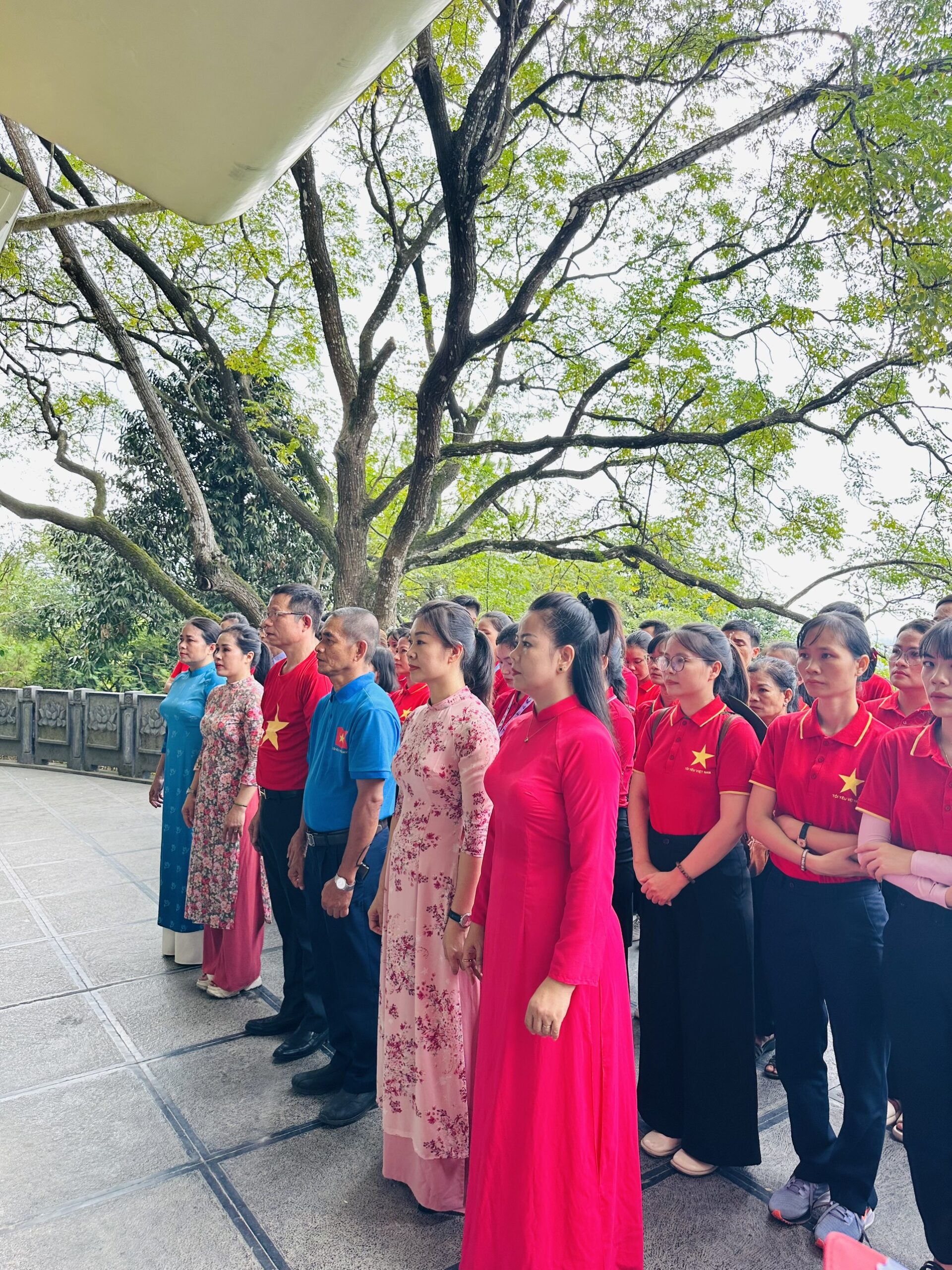 z4760828560445_63496a29233c2765b1efcbcce9c3c262