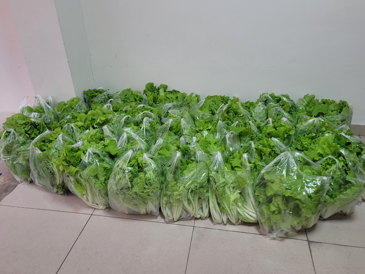 z4997266983033_4cc7a3cfb8150e43126081cb21494493