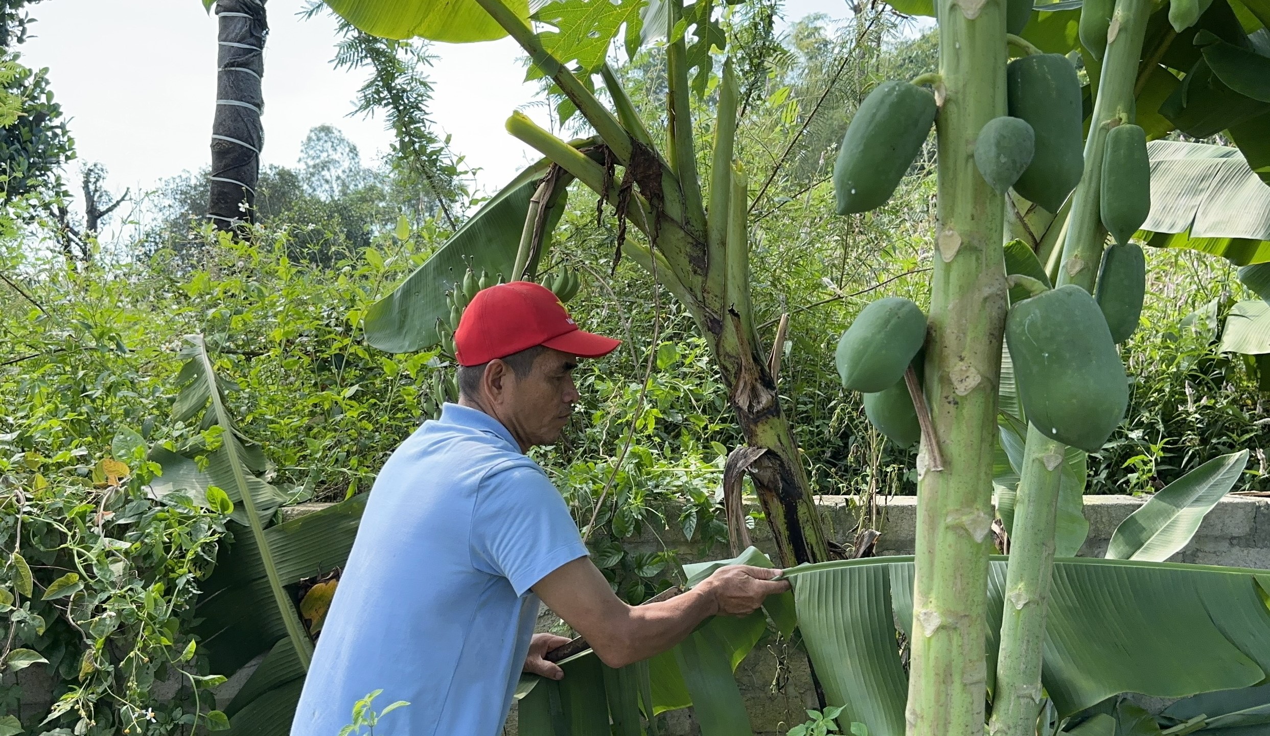 z4766367159574_0911db2902c5e4bf185d8aead66bc4de