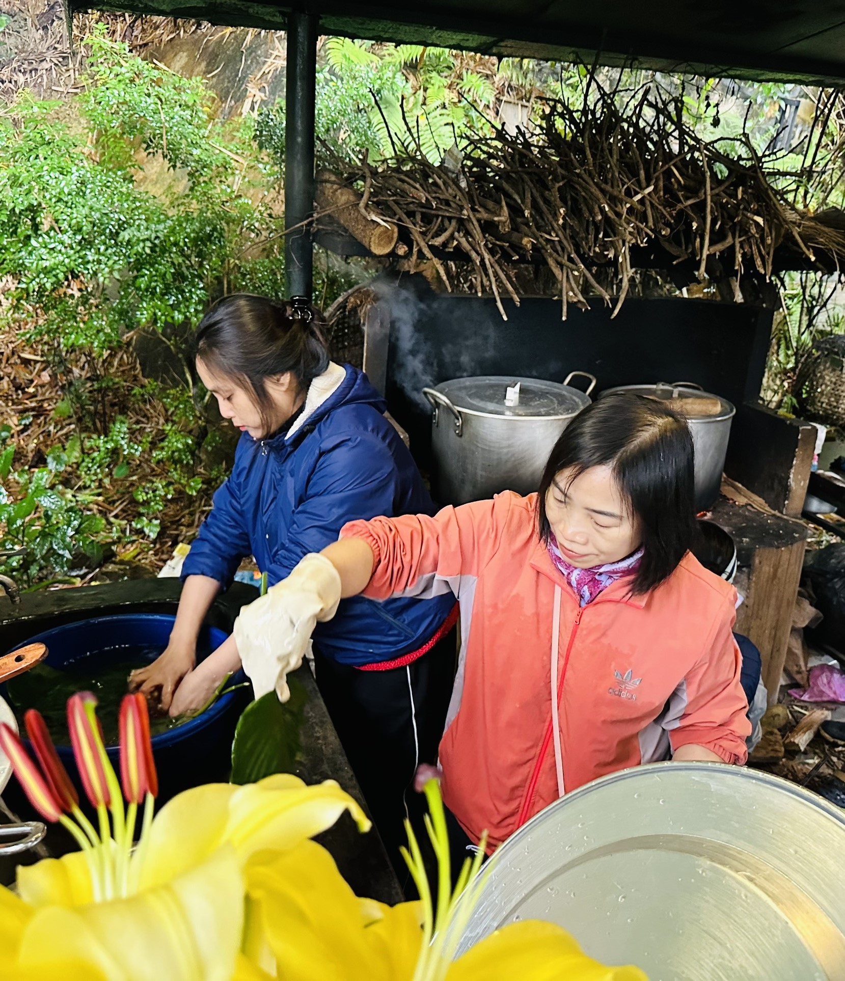 z5094903871580_3b3c3b6bbef866f78dd832b7cfee9e00