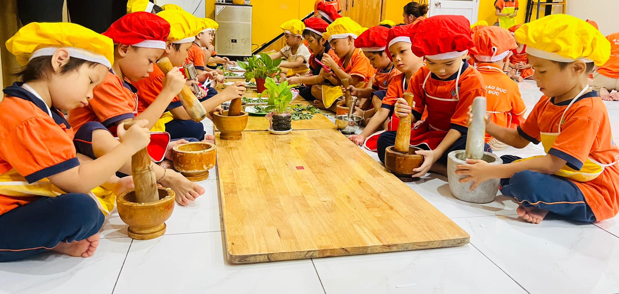 456052927_1195027191770095_3237959598797730093_n