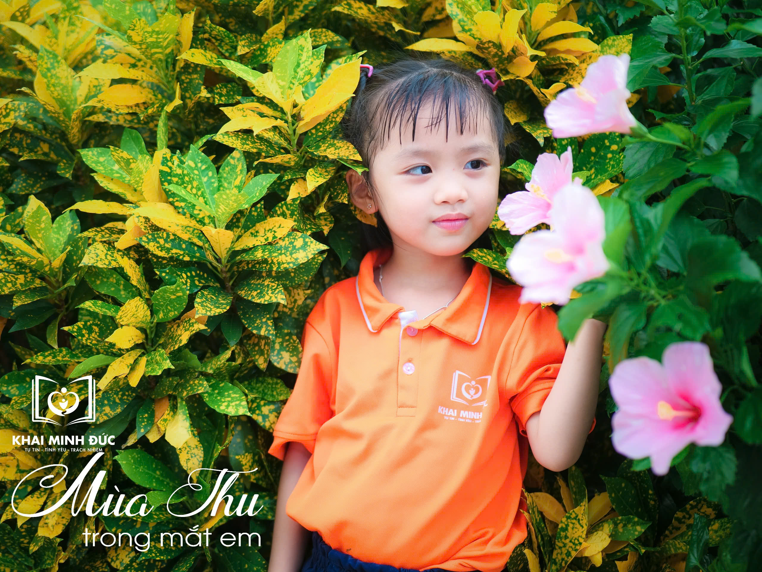 z5845284216385_f588faf343d4305d183d23780eef84c0