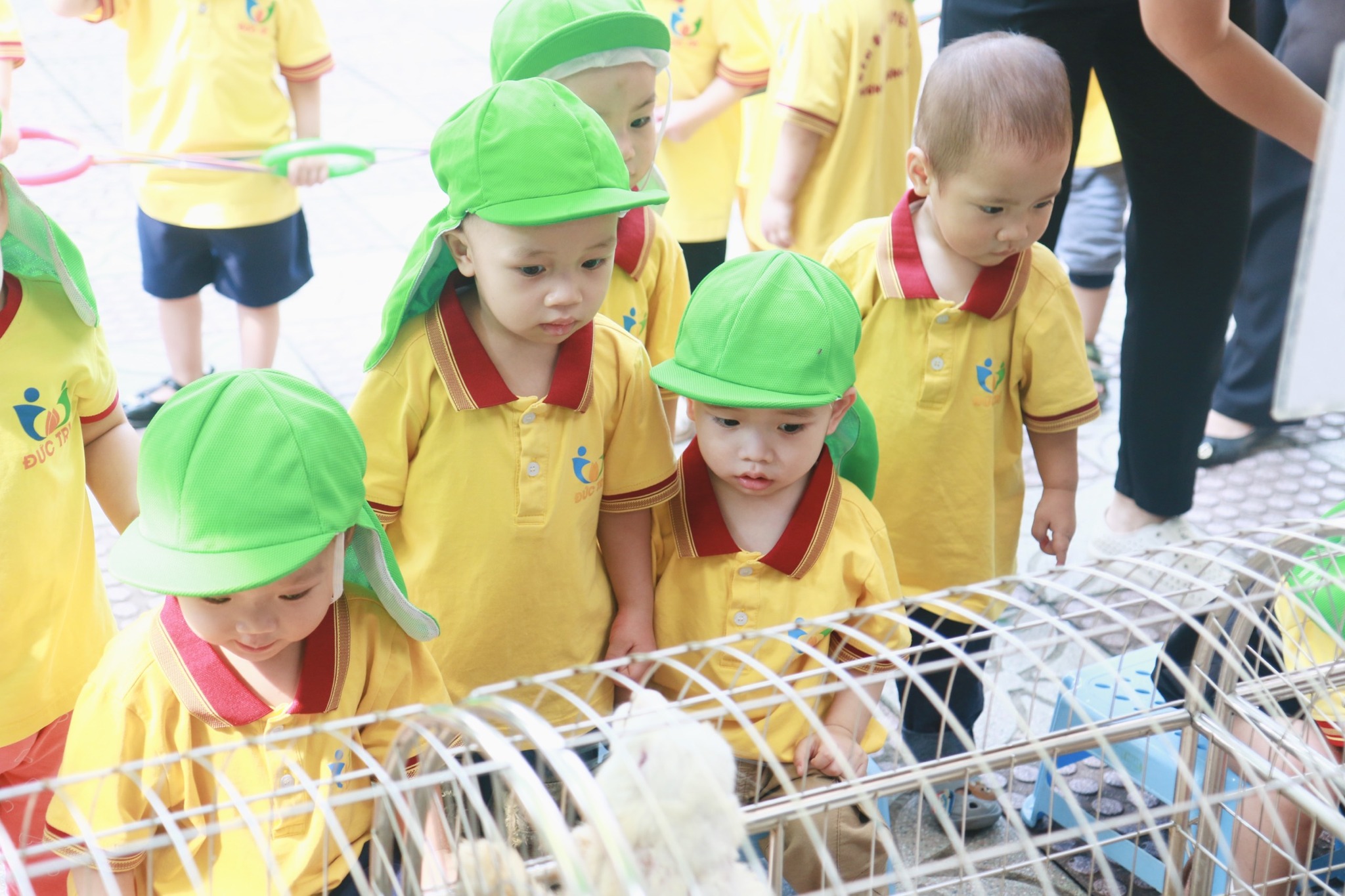 462708766_1597803990818756_6711995711030633125_n