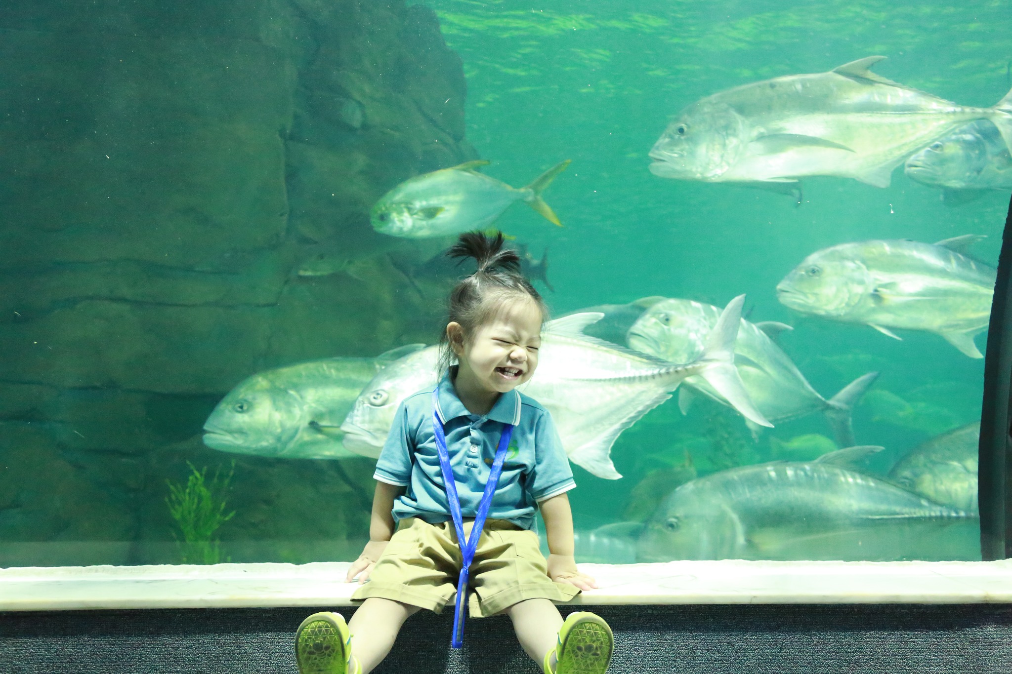 464237903_1112337480515716_6400044344890214684_n