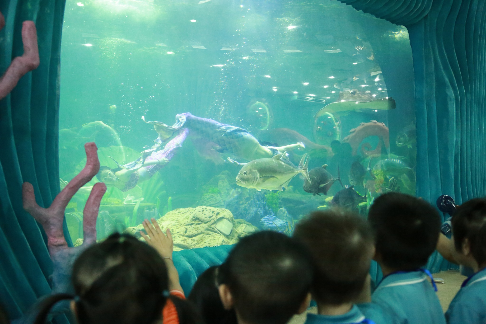 464280329_1112336393849158_5326841988801500444_n