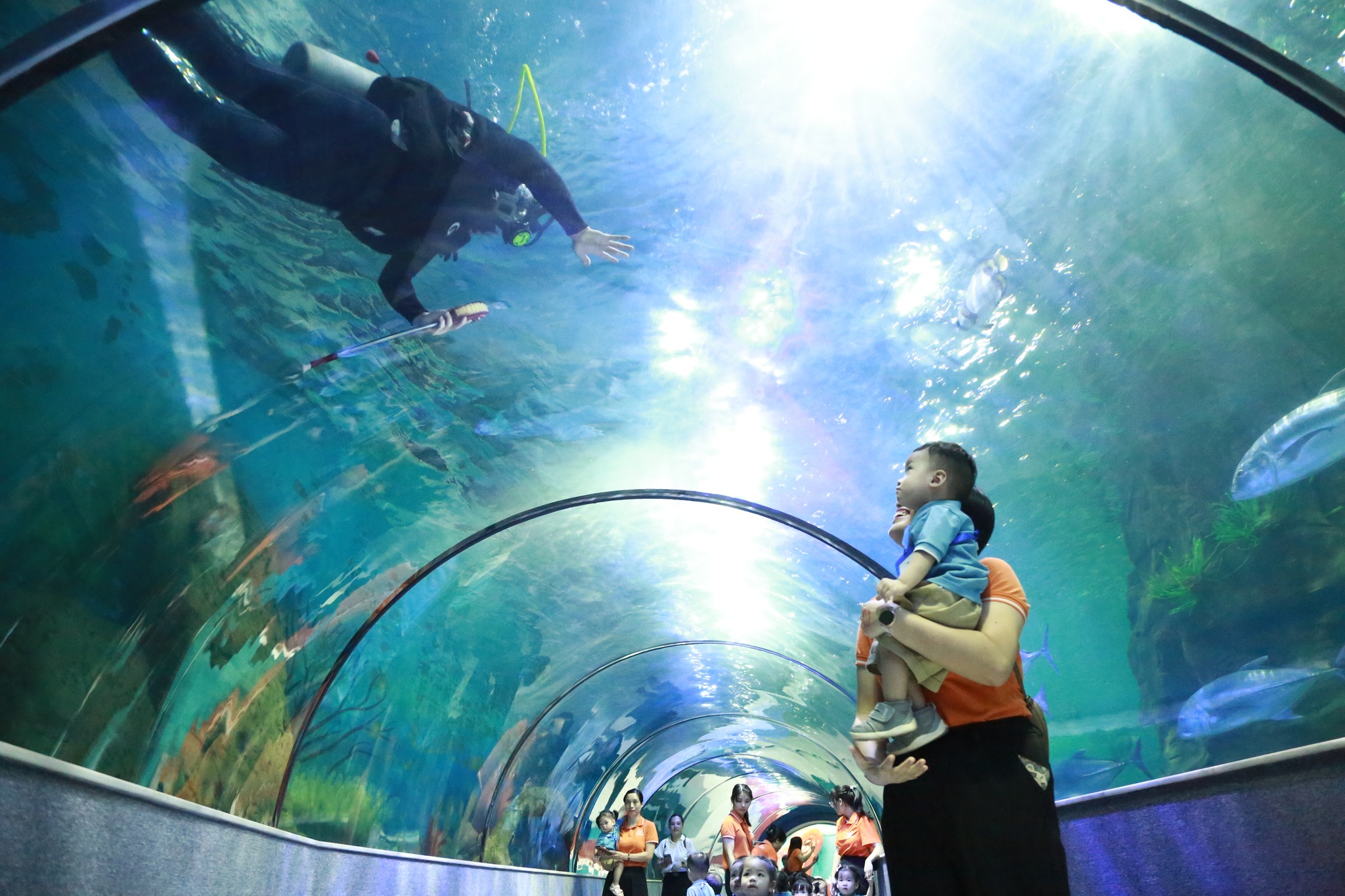 464297192_1112337377182393_1170605105167637074_n