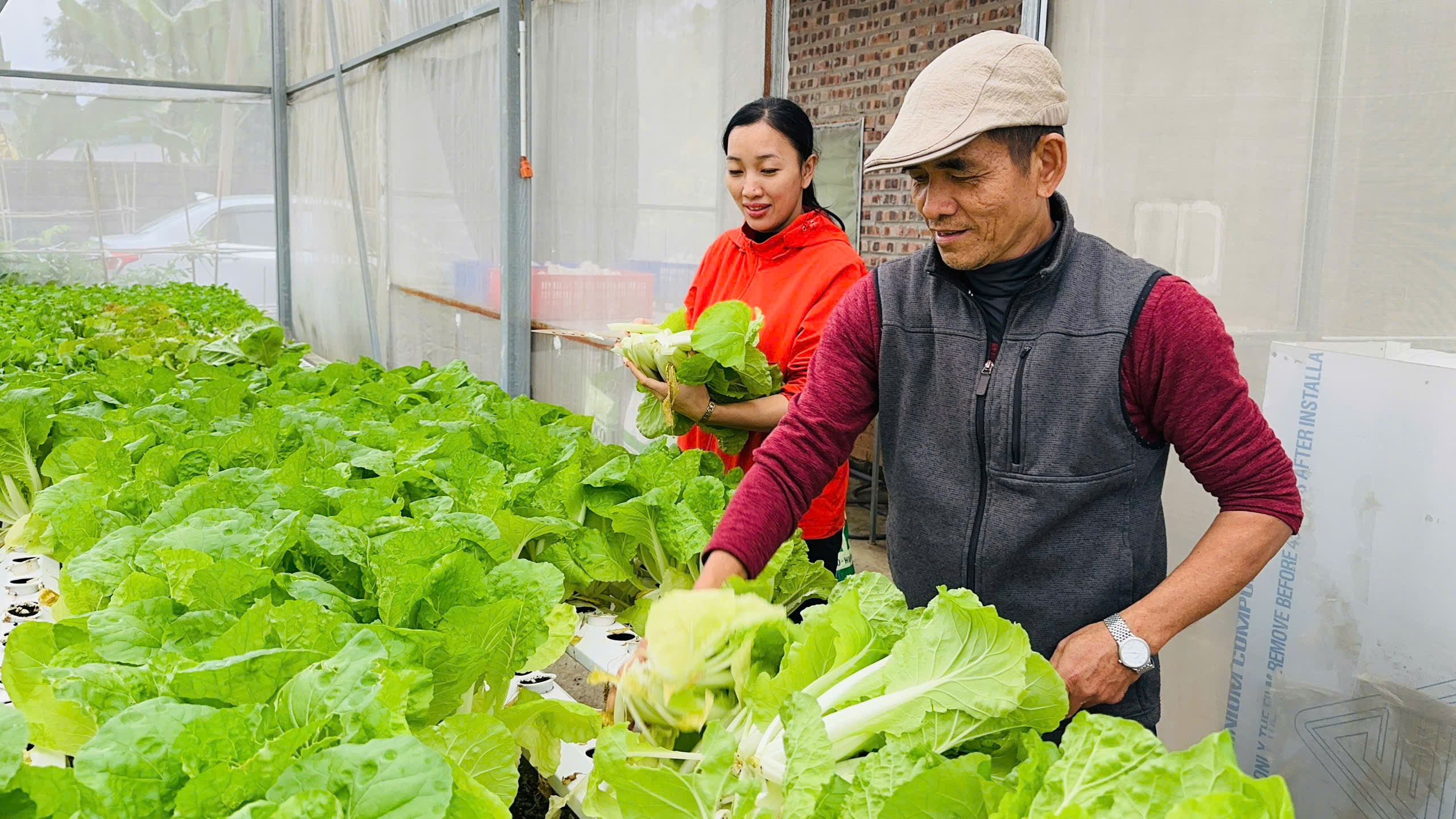 z6218424299673_98d2493cbe9795ca678344f7eb01ca5a