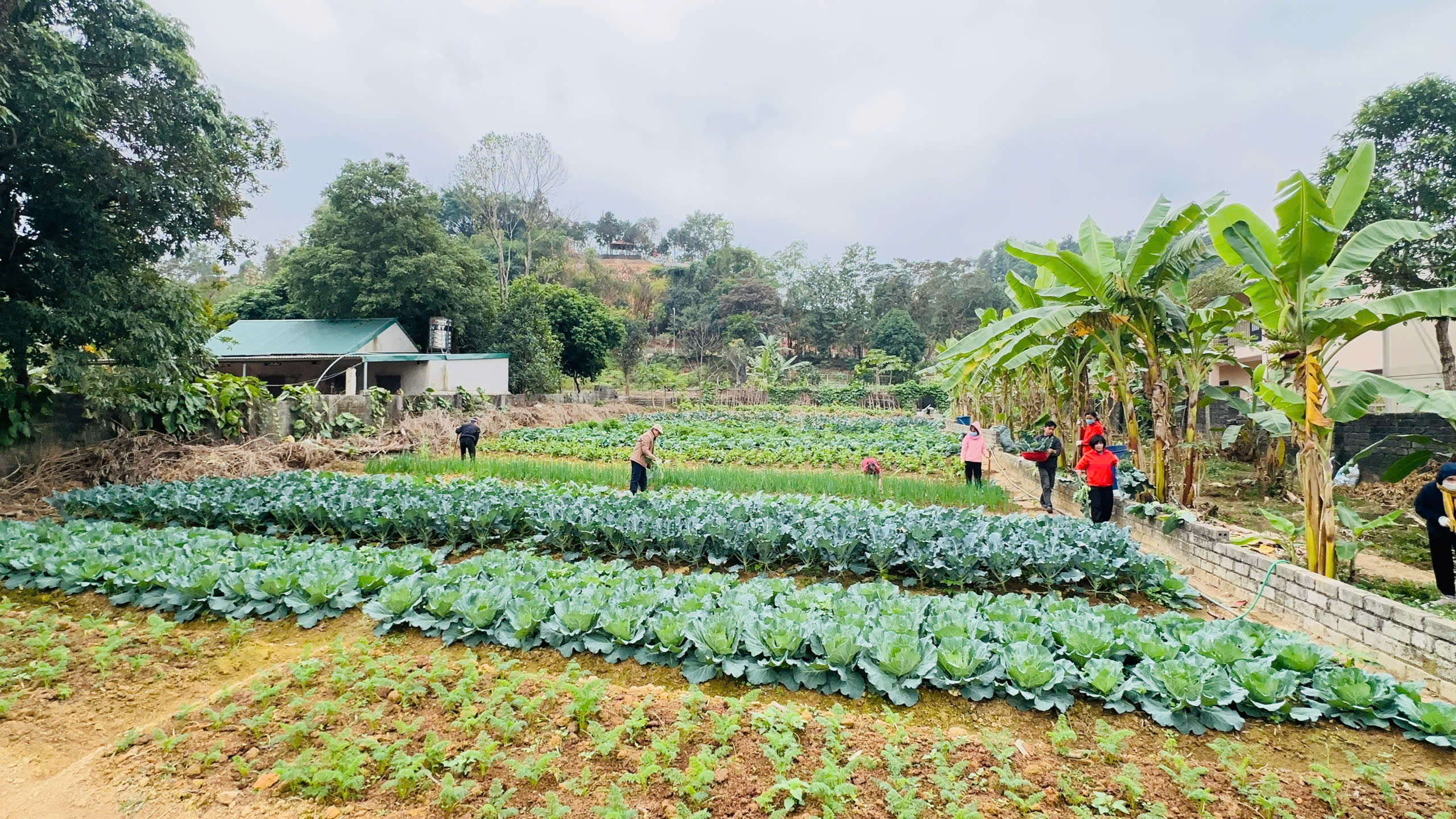 z6218424341639_2116fe347faa8b1ddf3ed6492f1a8dc6