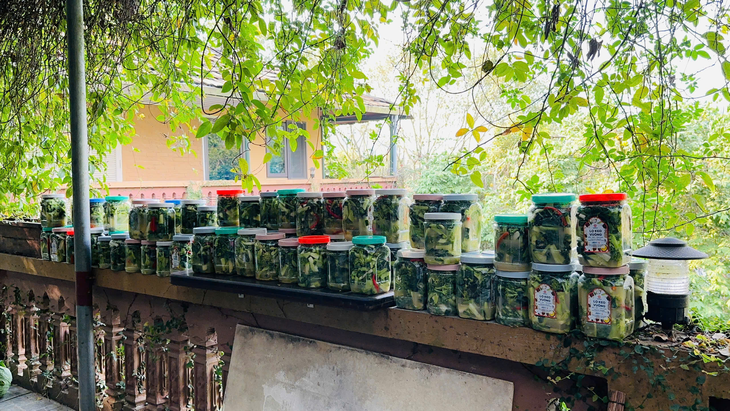 z6218501979588_36b625b301a65ec7673fe564235e23dd