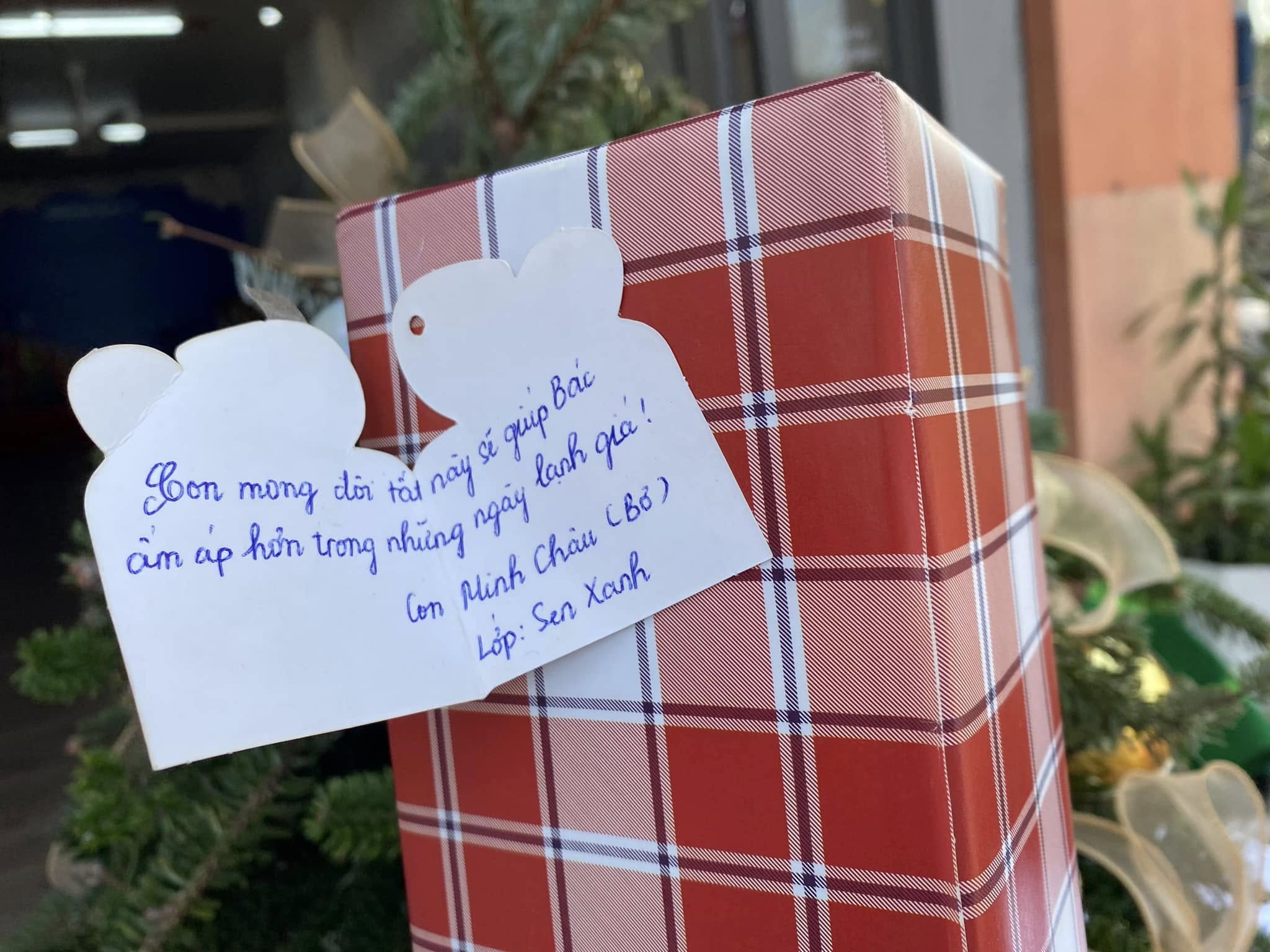 471441923_1095063662411035_276136119386557331_n